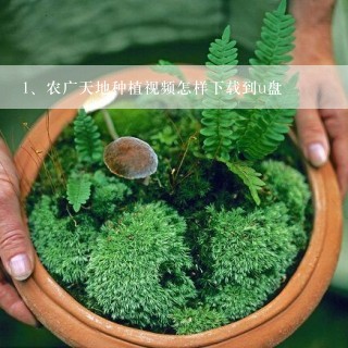 农广天地种植视频怎样下载到u盘