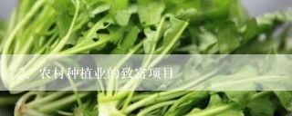 农村种植业的致富项目