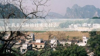 盆栽韭菜种植技术是什么