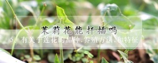 有关于莲花的品种.养殖方法.和特征