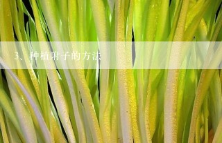 种植附子的方法