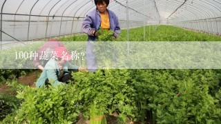 100种蔬菜名称？