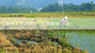 做什么生意能在一年内赚到100万？