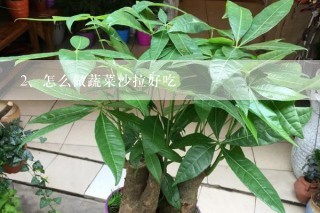 怎么做蔬菜沙拉好吃