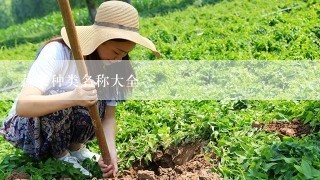 蔬菜种类名称大全