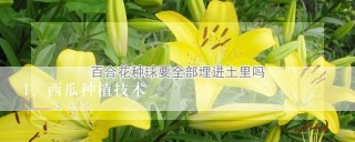 西瓜种植技术