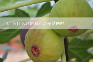 有什么好的农产品交易网吗？