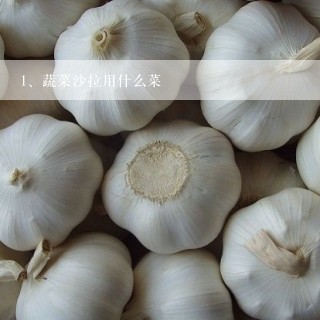 蔬菜沙拉用什么菜