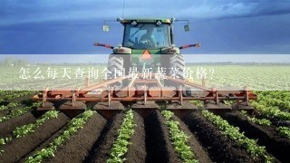 怎么每天查询全国最新蔬菜价格？