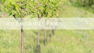 在华北地区如何建养羊大棚？