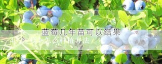 红萝卜怎么种植方法