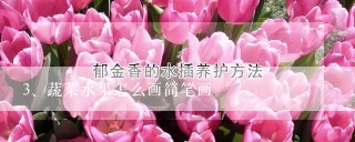 蔬菜水果怎么画简笔画