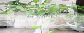 香菇种植方法和步骤