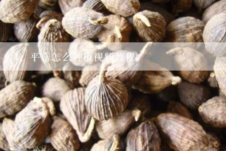 平菇怎么种植视频教程