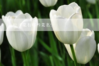 叶子菜有哪些菜名？