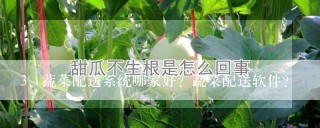 蔬菜配送系统哪家好？蔬菜配送软件？