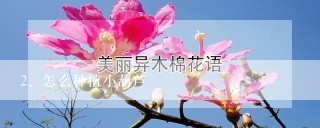 怎么种植小葫芦