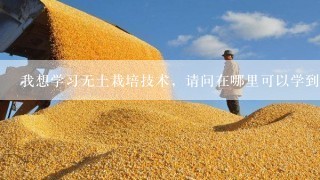 我想学习无土栽培技术，请问在哪里可以学到，还有费