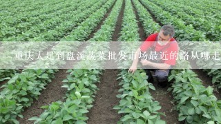 重庆大足到盘溪蔬菜批发市场最近的路从哪走