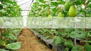 什么蔬菜、水果含钙量最高？