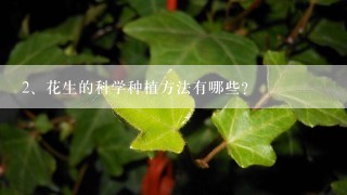 花生的科学种植方法有哪些？