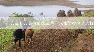 十大最具营养价值的蔬菜、水果的排名是这样的？