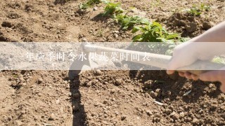 一年应季时令水果蔬菜时间表