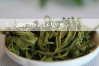 大棚草莓种植技术与管理