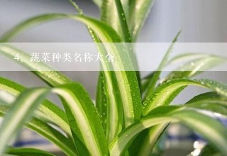 蔬菜种类名称大全