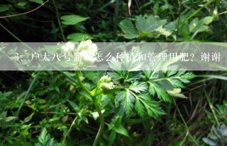 户太八号葡萄怎么种植和管理用肥？谢谢