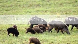 求大量葡萄种植技术资料～最好是系统性视频