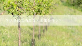 含钙量最高的蔬菜和水果是什么?