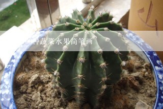 100种蔬菜水果简笔画