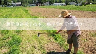 想学煎饼果子技术。哪里学？学费多少？