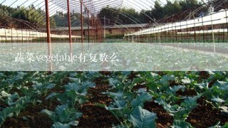 蔬菜vegetable有复数么