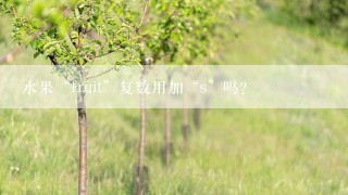 水果“fruit”复数用加“s”吗？