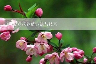 长寿花养殖方法与技巧