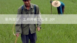 第四部分：怎样种植空心菜.ppt