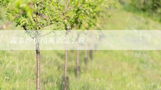 蔬菜沙拉用英语怎么说