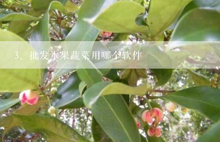 批发水果蔬菜用哪个软件