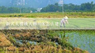 新式大樱桃大棚30米怎么建造？