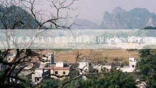 鲜面条加工生意怎么样就是湿面条，每斤利润