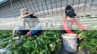 小学和蔬菜有关的英语单词 10个