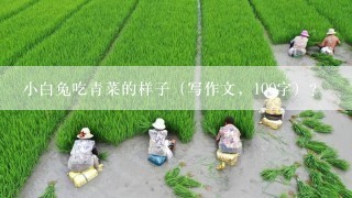 小白兔吃青菜的样子（写作文，100字）？