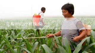 花椒树的种植技术