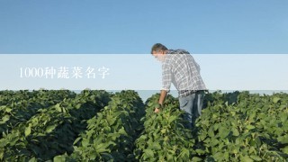 1000种蔬菜名字