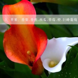 苹果、香梨.香蕉.西瓜.草莓.橙.巨峰葡萄..这些蔬菜