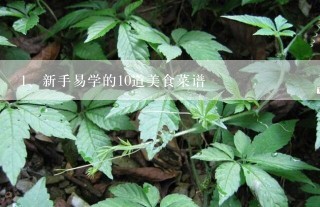 新手易学的10道美食菜谱