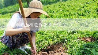 蔬菜钢架大棚造价要多少钱