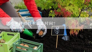 甜玉米种植技术最佳时间？